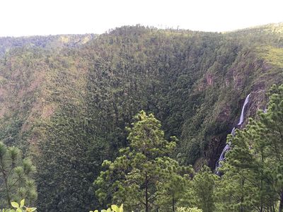 large waterfall surrounded by pine forest