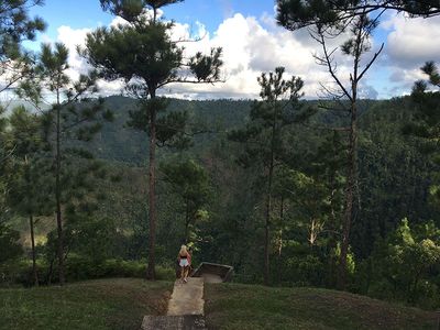 viewpoint area for waterfall with pine forest backdrop
