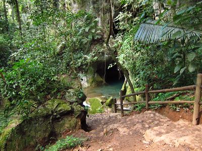 downward view of stairway leading to cave surrounded by trees