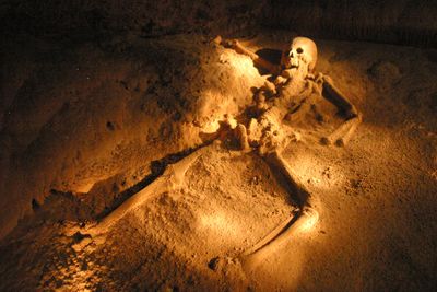 ATM Cave Maiden skeleton by Cameron McGregor full skeleton laying on ground illuminated with headlight