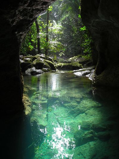 cave silhouette with rive running through and rainforest outside