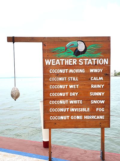 coconut hanging by a string beside weather sign