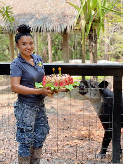 girl with vegetable cake in hand for tapir