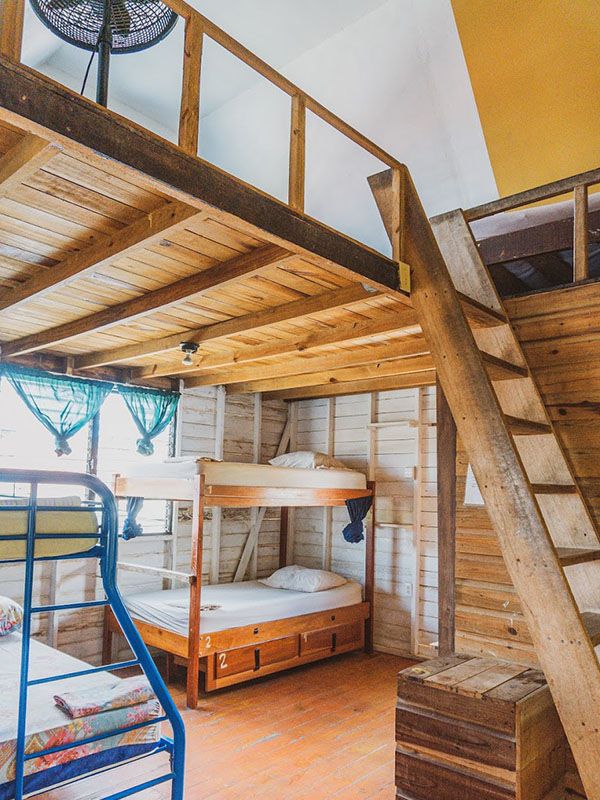 bunk two bunk beds with a tree top loft above