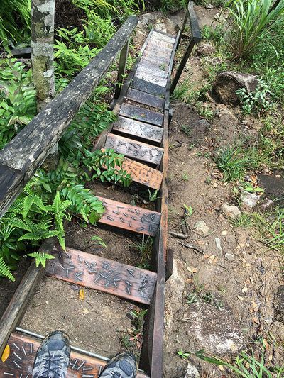 trail stairs with nails as grip