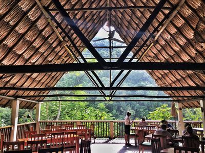 triangular thatched roof overlooking dense rainforest