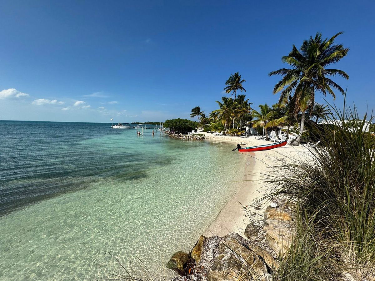 clear beach water with canoe and palm trees