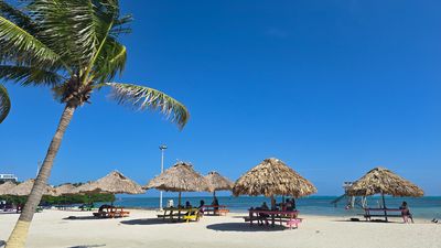 beach thatch roofs with white sand and palm tree