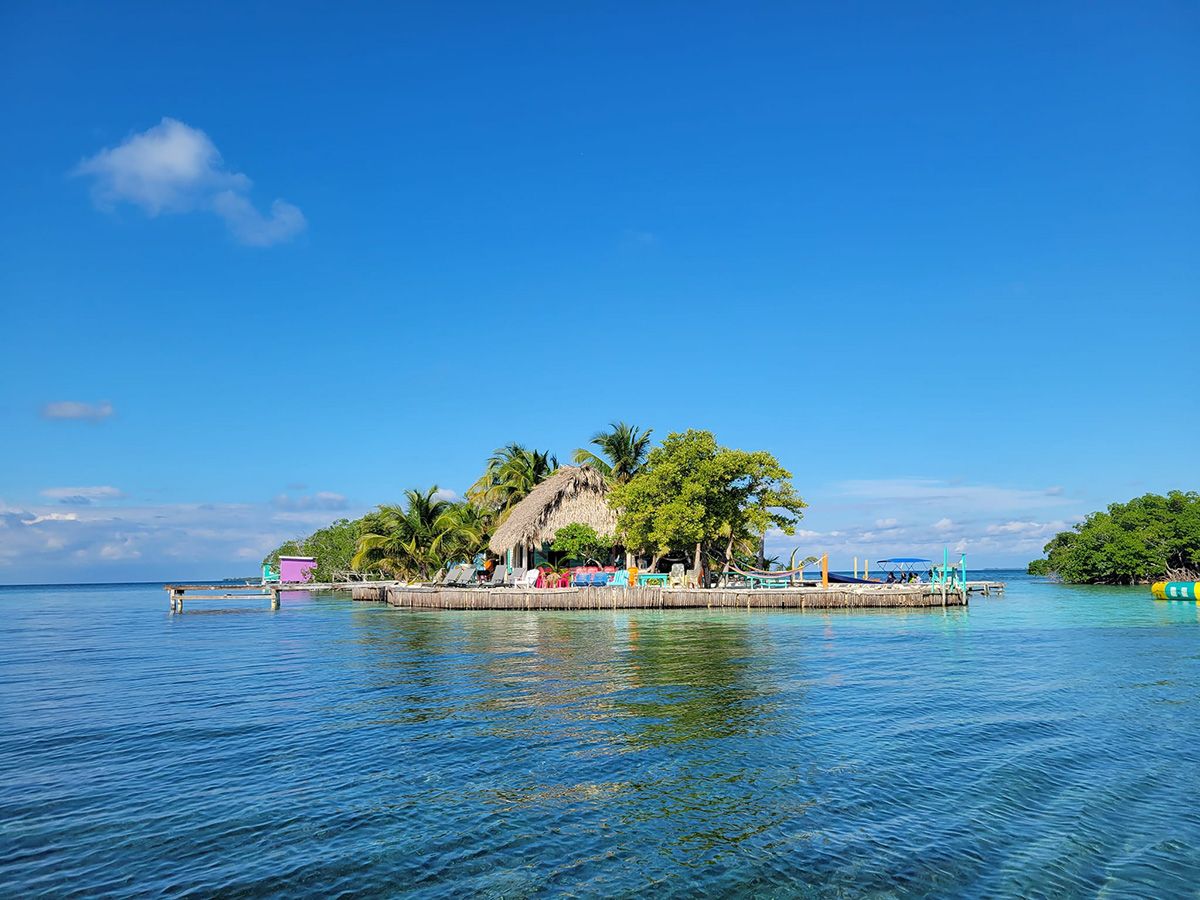 small island with wood shoreline and thatch house