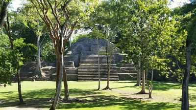 mayan ruin surrounded with trees in front of it