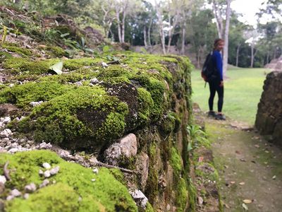 Mossy rocks at Cahal Pech mayan ruin mossy rock with women in background