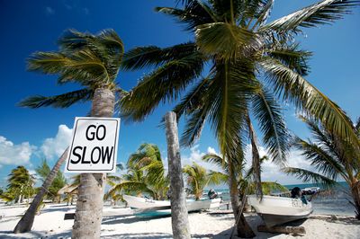 beach with boats, coconut trees and go slow sign