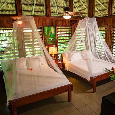 two beds with mosquito screens and thatched roof