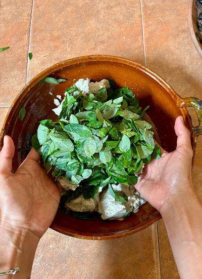 Chipilín with corn flour mixed in bowl for tortillas green leaves and corn mix in traditional bowl