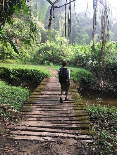 girl walking on bridge surrounded by lush rainforest