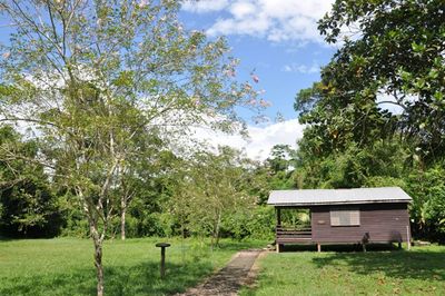 wooden cabin in rainforest