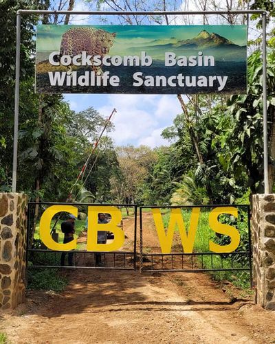 Cockscomb Basin entrance by Belize Audubon Society sanctuary entrance with CB and WS written on gates