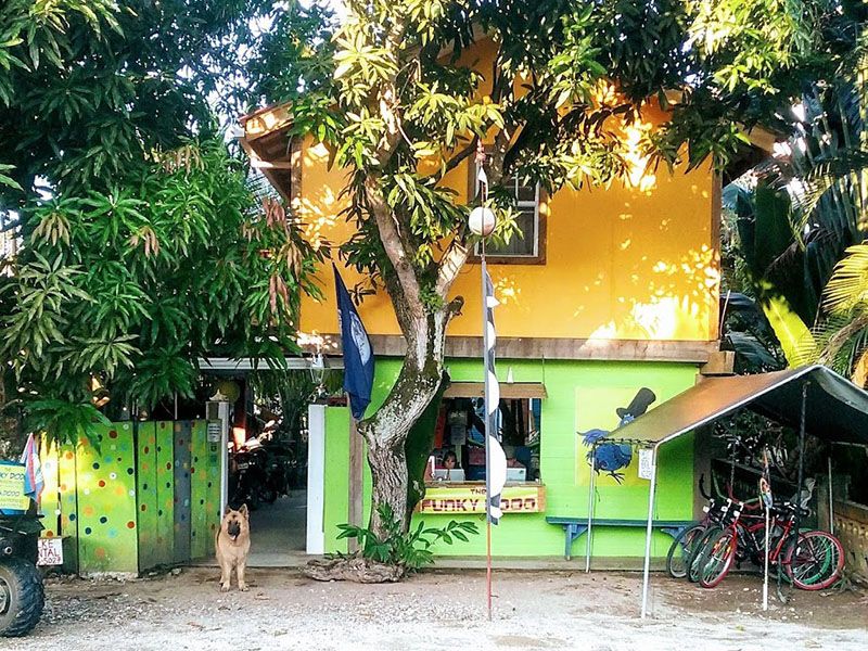 two story building with trees around and dog at the door