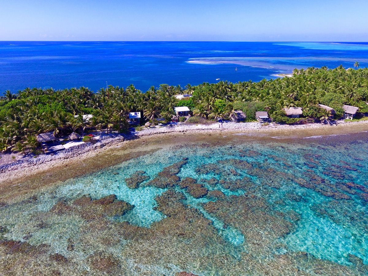island with rocky beach and green trees