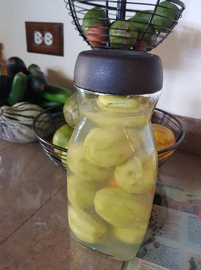 Pickled golden plum by Vicky Forbes pickled golden plum