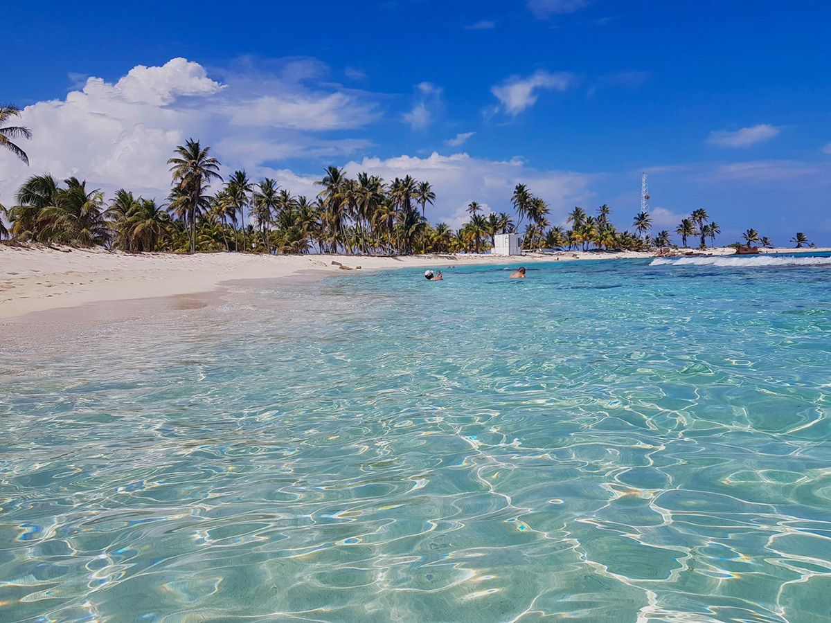 clear blue water beach with coconut trees in background