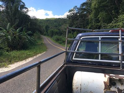 view of rainforest from pickup truck on highway