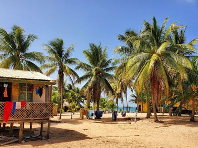 small wooden house surrounded by coconut trees and hung clothes