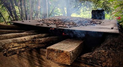 cacao beans roasted on fire hearth