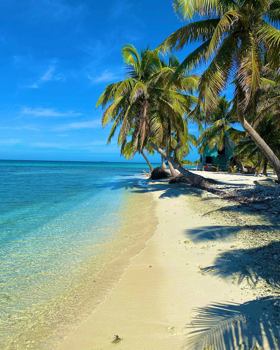 beach with clear water and coconut trees