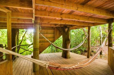 house built around tree with two hammocks hung in between