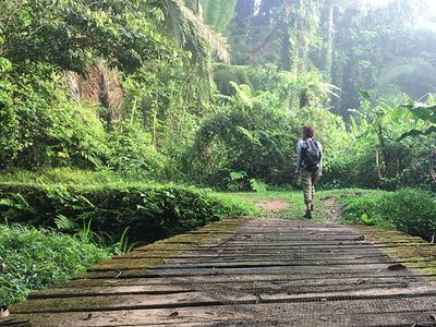 girl walking on bridge surrounded by lush rainforest