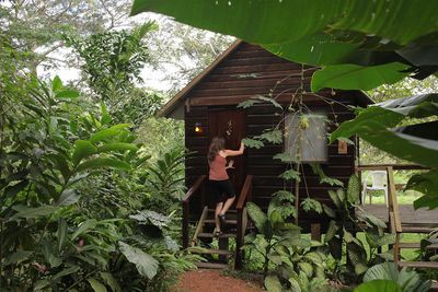 wooden cabin surrounded by trees