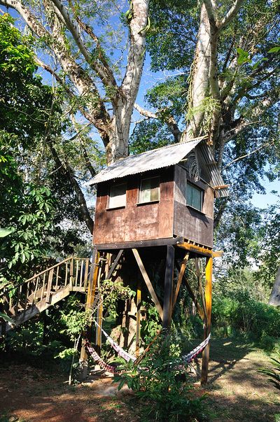 tree house with stairs and tree behind it