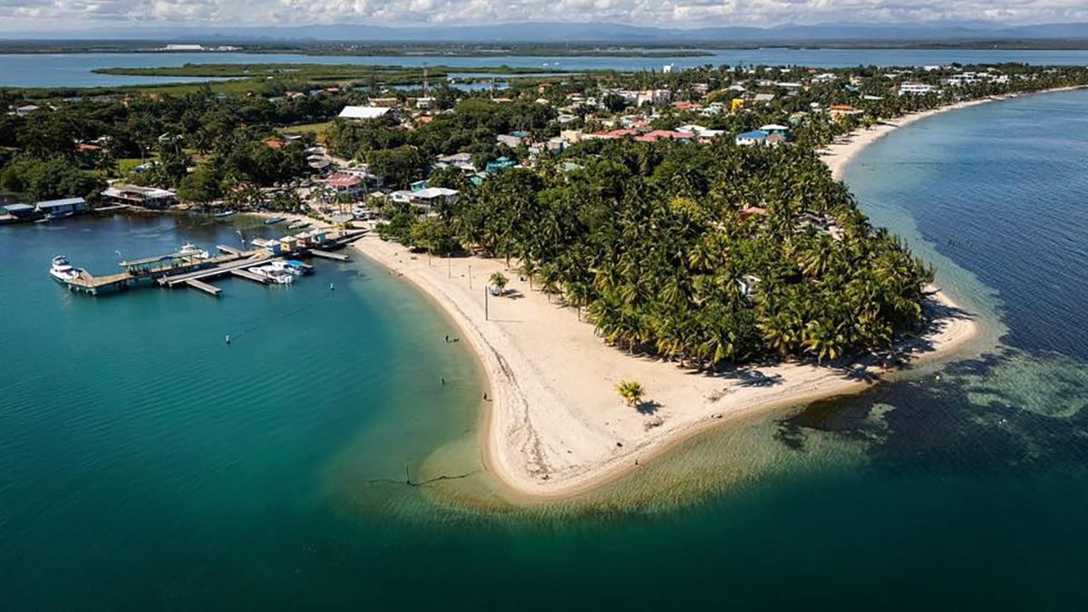 aerial of beach with palm trees and dock