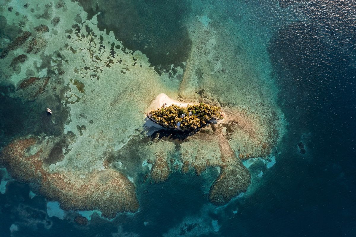 aerial of small island with lots of coconut trees and coral reef around it