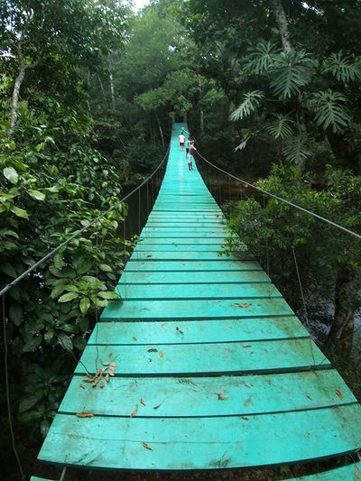 teal colored swing bridge with people on it