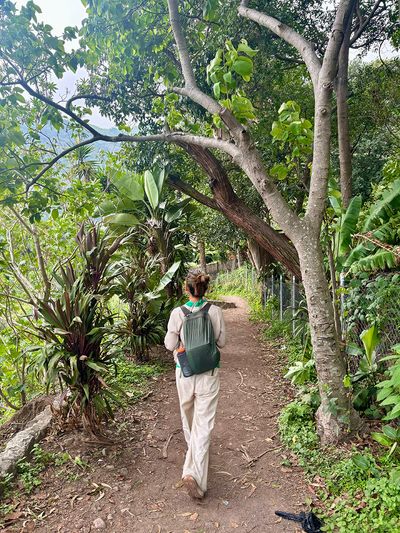Beautiful walking trail to Maya Magic School girl with backpack walking green trail