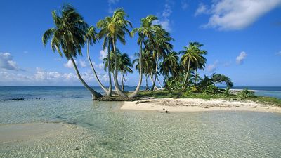 tiny island with palm trees on it