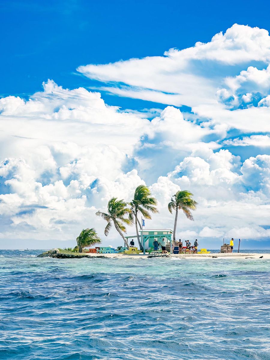 tiny island beach with four coconut trees and one house