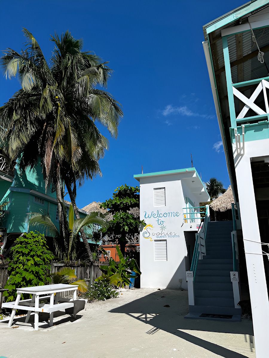 white building beside palm tree