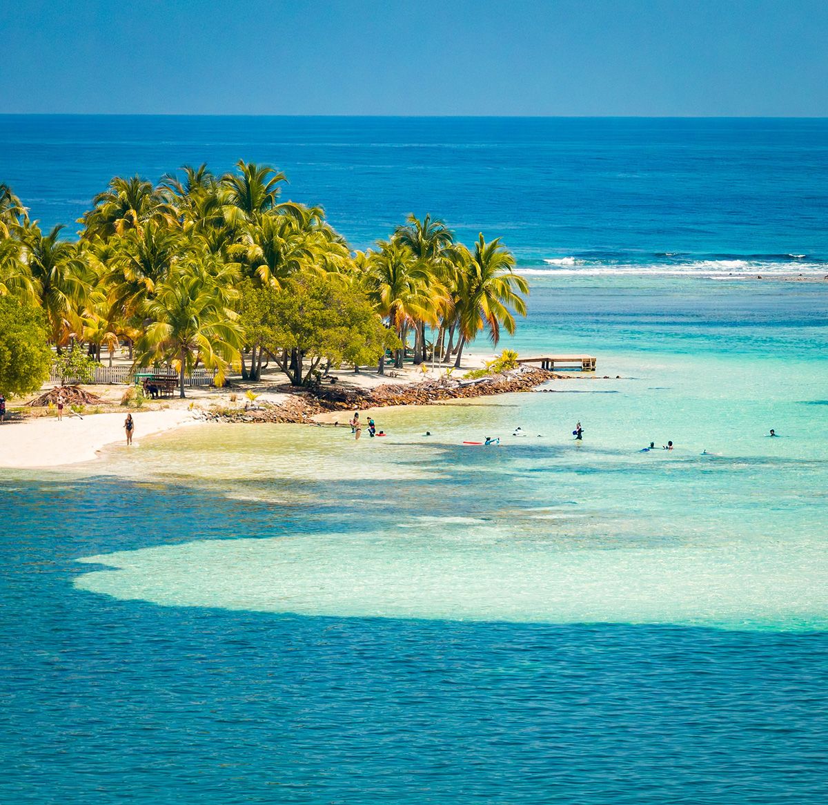 turqoise beach water with coconut trees