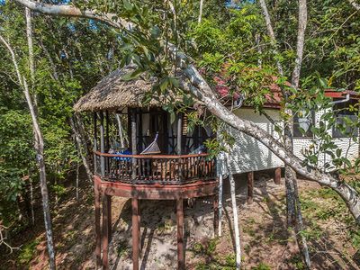 eco lodge with thatch roof in middle of jungle