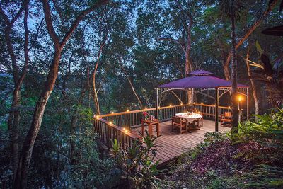 outdoor dinner table with lush rainforest backdrop