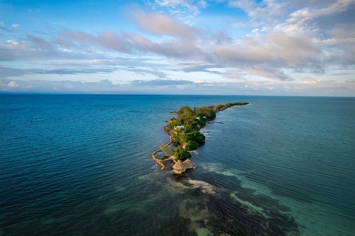 thin island with many trees on it