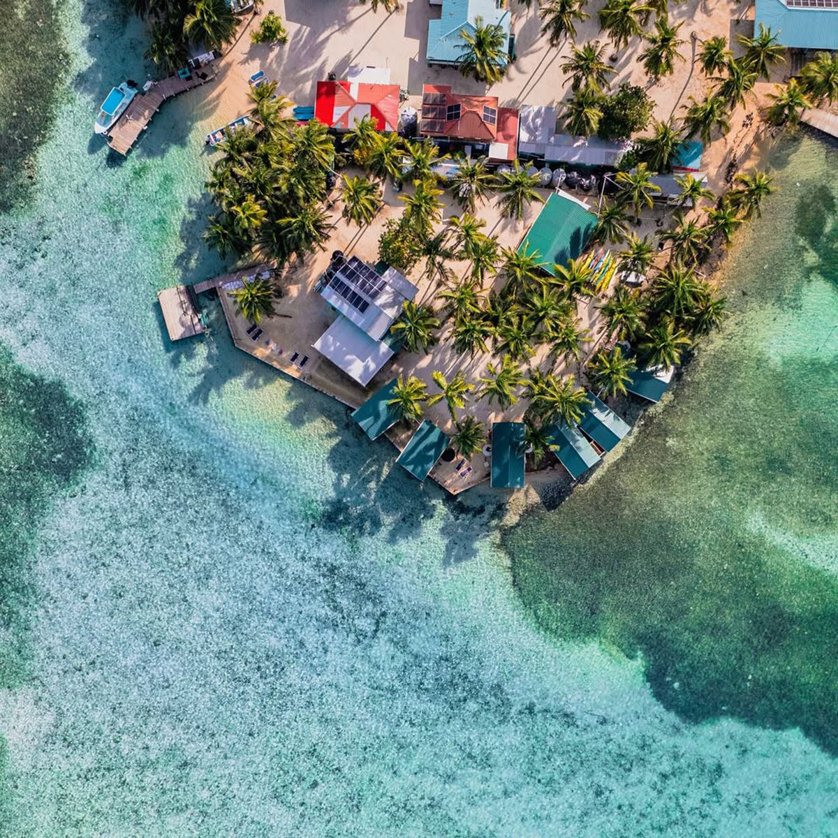 aerial of island with coconut trees and cabanas