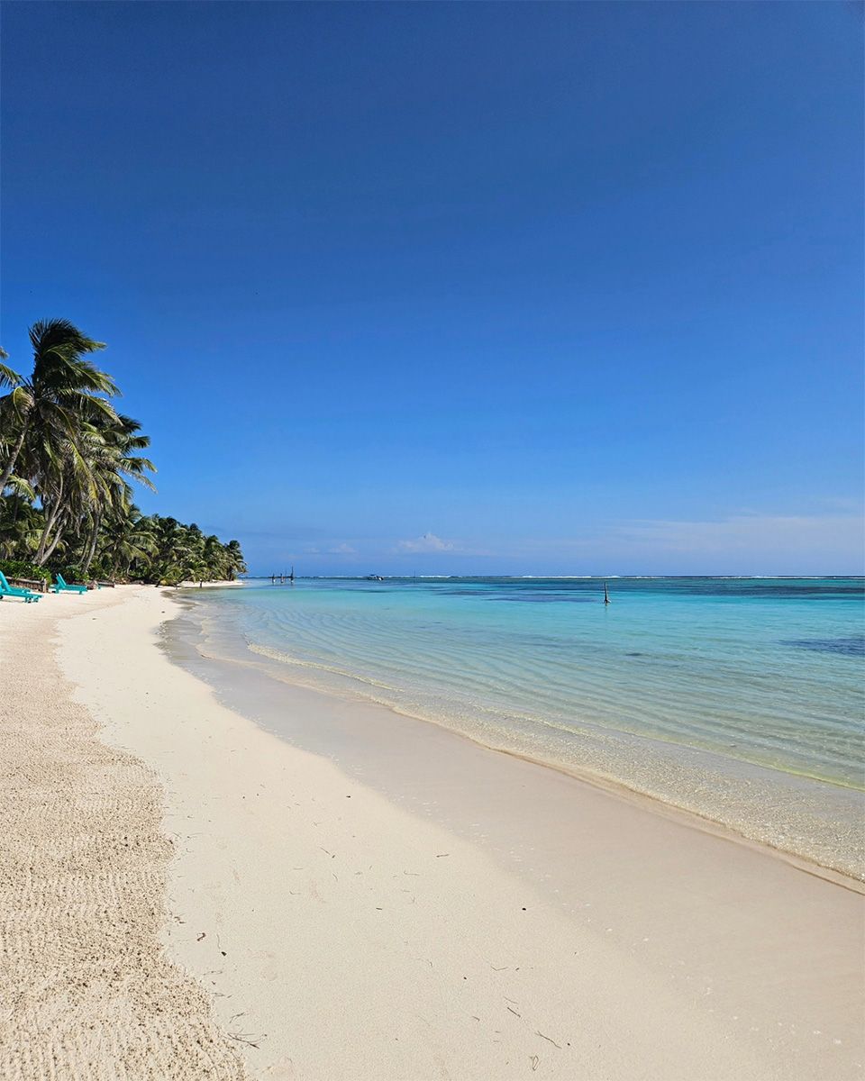 clear turquoise water with white sandy beach and palm trees