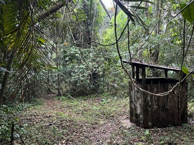 Outhouse at Victoria Peak base camp outhouse surrounded by jungle