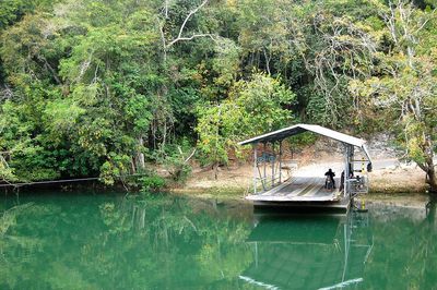 Xunantunich ferry crossing by Barking Fox Farm ferry crossing at xunantunich belize