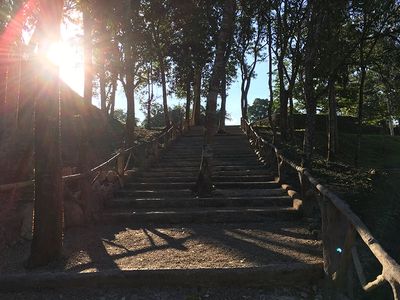 Stairway entrance to Xunantunich naturally built stairway with trees in the middle