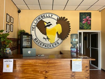 Yellow Belly Backpackers frontdesk front desk with bird logo on wall